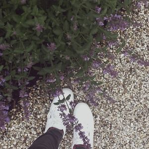 Meet your Posher, Charlie